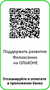 Поддержка — помогаем 7 дней в неделю
